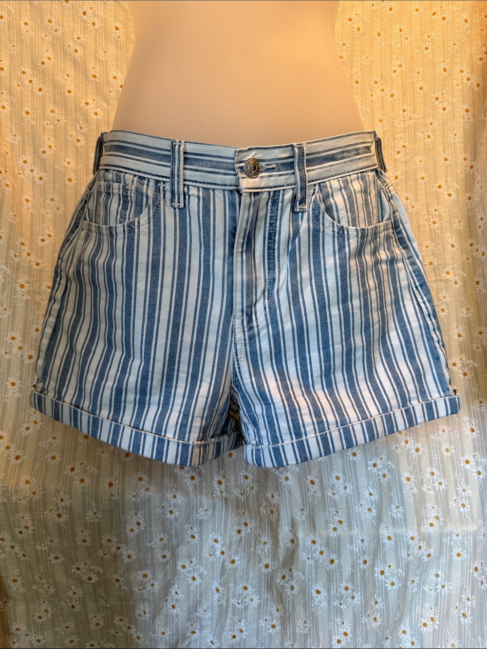 American Eagle Outfitters Blue & White Vertical Stripe Jean Shorts